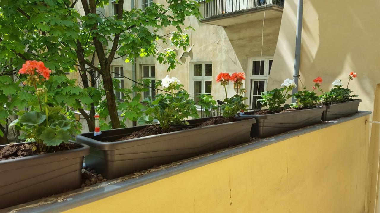Apartment Katamaran Krasków Εξωτερικό φωτογραφία
